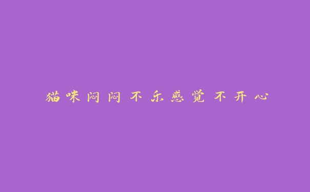猫咪闷闷不乐感觉不开心 猫咪闷闷不乐感觉不开心