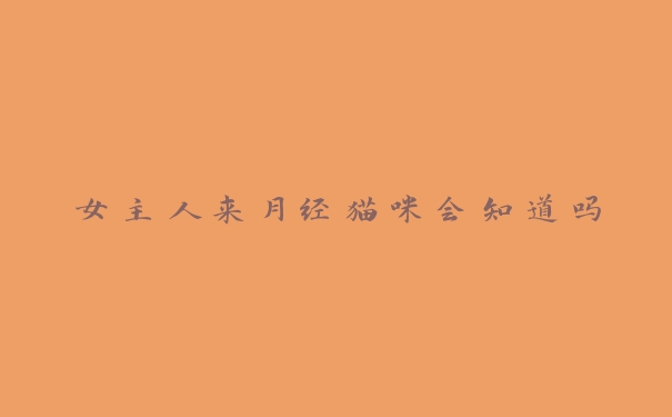女主人来月经猫咪会知道吗 女主人来月经猫咪会知道吗