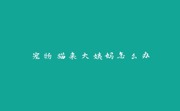 宠物猫来大姨妈怎么办