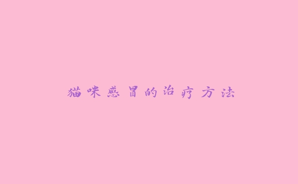 猫咪感冒的治疗方法