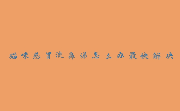 猫咪感冒流鼻涕怎么办最快解决 猫咪感冒流鼻涕怎么办最快解决