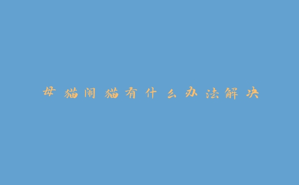 母猫闹猫有什么办法解决 母猫闹猫有什么办法解决