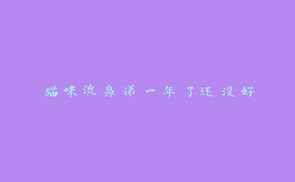 猫咪流鼻涕一年了还没好