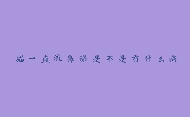 猫一直流鼻涕是不是有什么病 猫一直流鼻涕是不是有什么病