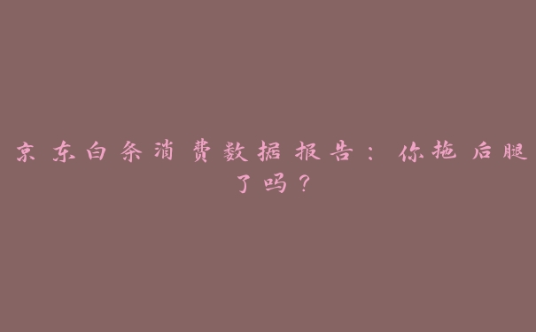 京东白条消费数据报告:你拖后腿了吗? 京东白条消费数据报告:你拖后腿了吗?