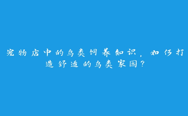 宠物店中的鸟类饲养知识,如何打造舒适的鸟类家园? 宠物店中的鸟类饲养知识,如何打造舒适的鸟类家园?