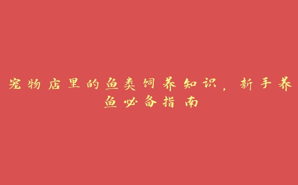 宠物店里的鱼类饲养知识,新手养鱼必备指南 宠物店里的鱼类饲养知识,新手养鱼必备指南