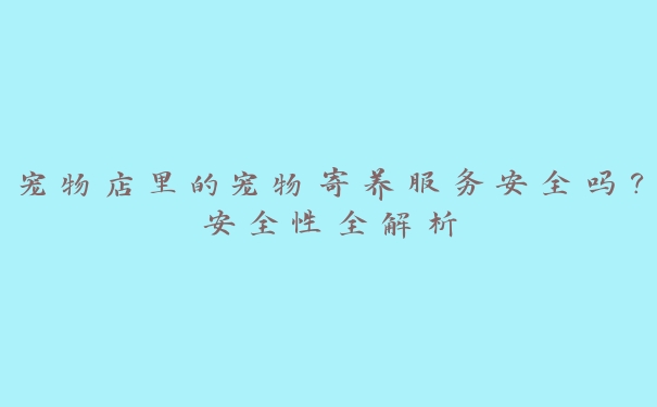 宠物店里的宠物寄养服务安全吗？安全性全解析