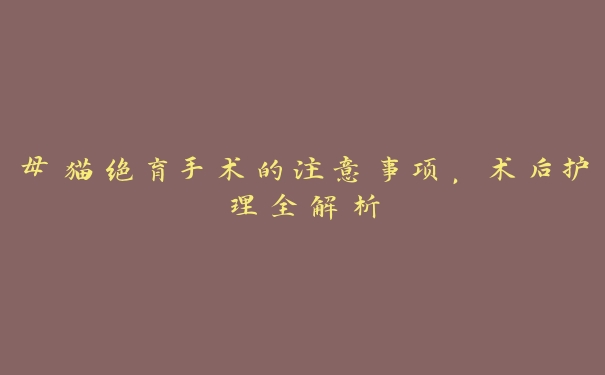 母猫绝育手术的注意事项,术后护理全解析 母猫绝育手术的注意事项,术后护理全解析
