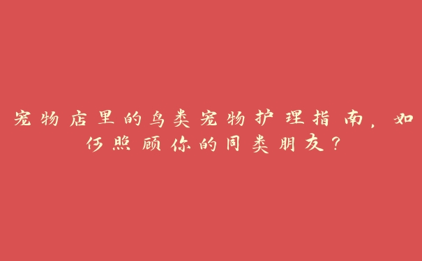 宠物店里的鸟类宠物护理指南,如何照顾你的同类朋友? 宠物店里的鸟类宠物护理指南,如何照顾你的同类朋友?