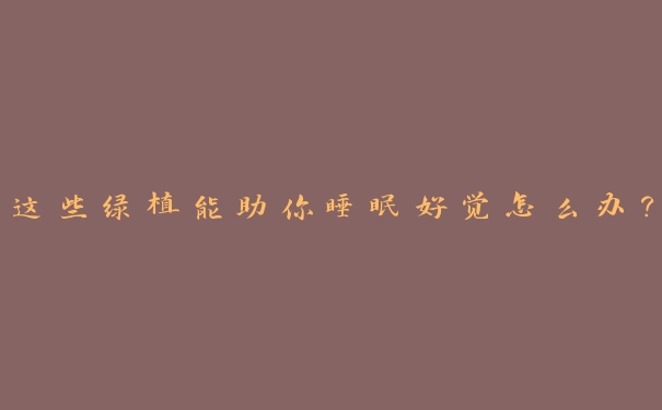 这些绿植能助你睡眠好觉怎么办? 这些绿植能助你睡眠好觉怎么办?