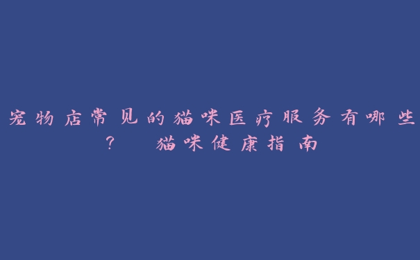 宠物店常见的猫咪医疗服务有哪些? 猫咪健康指南 宠物店常见的猫咪医疗服务有哪些? 猫咪健康指南