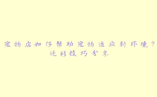 宠物店如何帮助宠物适应新环境?迁移技巧分享 宠物店如何帮助宠物适应新环境?迁移技巧分享