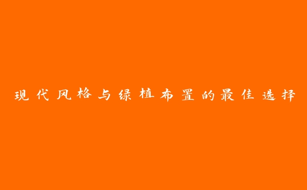 现代风格与绿植布置的最佳选择