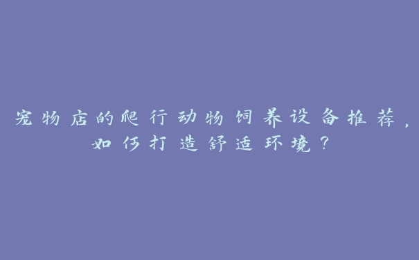 宠物店的爬行动物饲养设备推荐,如何打造舒适环境? 宠物店的爬行动物饲养设备推荐,如何打造舒适环境?