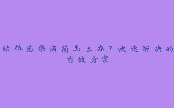 绿植感染病菌怎么办?快速解决的有效方案 绿植感染病菌怎么办?快速解决的有效方案