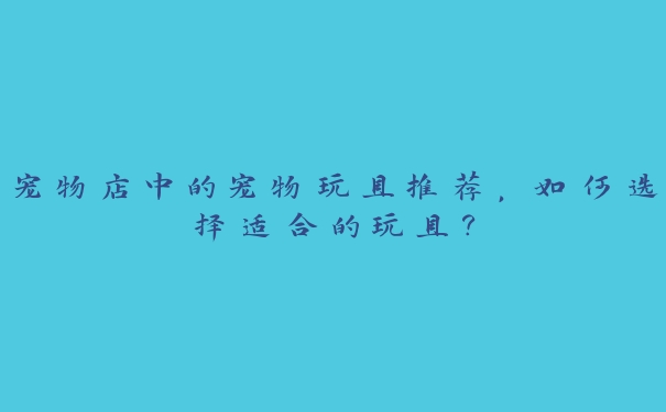 宠物店中的宠物玩具推荐,如何选择适合的玩具? 宠物店中的宠物玩具推荐,如何选择适合的玩具?