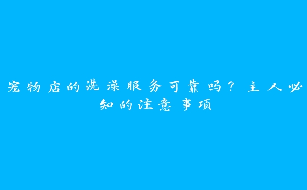 宠物店的洗澡服务可靠吗?主人必知的注意事项 宠物店的洗澡服务可靠吗?主人必知的注意事项