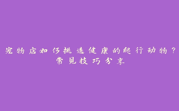宠物店如何挑选健康的爬行动物?常见技巧分享 宠物店如何挑选健康的爬行动物?常见技巧分享