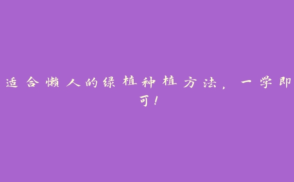 适合懒人的绿植种植方法,一学即可! 适合懒人的绿植种植方法,一学即可!