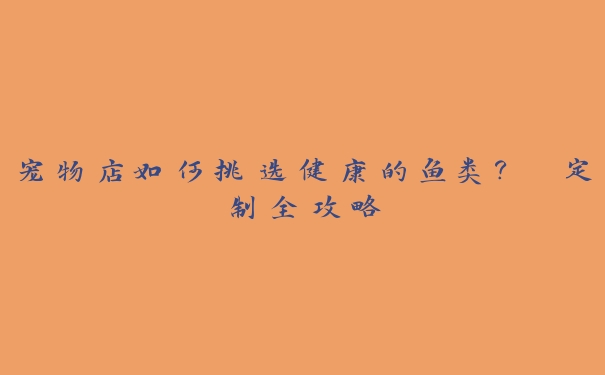 宠物店如何挑选健康的鱼类? 定制全攻略 宠物店如何挑选健康的鱼类? 定制全攻略