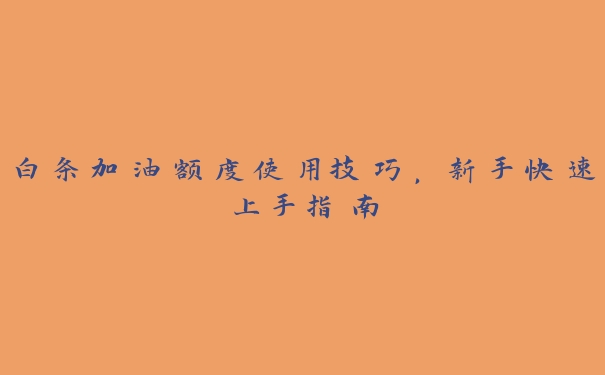 白条加油额度使用技巧,新手快速上手指南 白条加油额度使用技巧,新手快速上手指南
