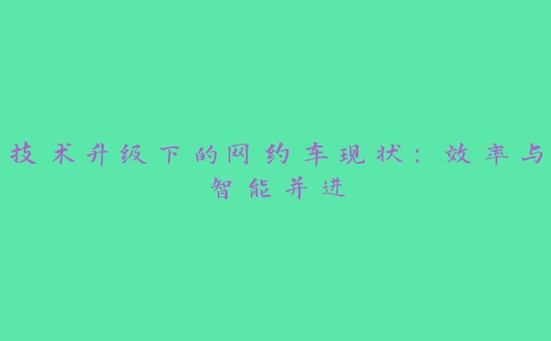 技术升级下的网约车现状：效率与智能并进