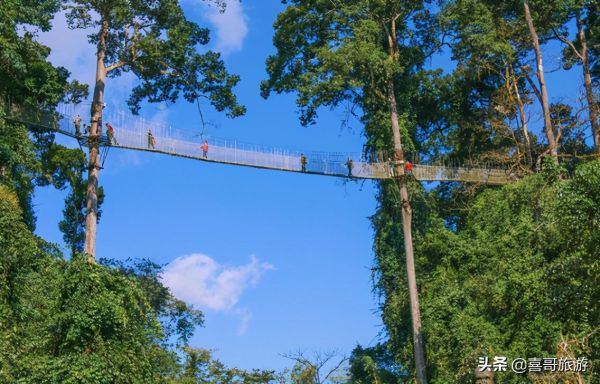 西双版纳十大旅游景点有哪些?自驾游玩如何安排行程路线? 西双版纳十大旅游景点有哪些?自驾游玩如何安排行程路线?