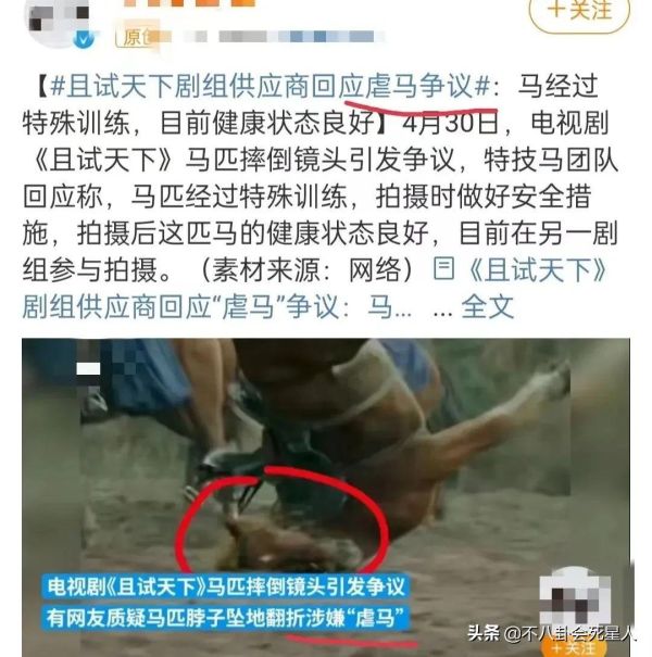 好看电视剧排行榜前十名2022，上半年热播的十部剧推荐