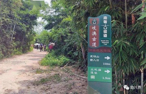 广东旅游必去十大景点自驾游（广东10大最美自驾线路）