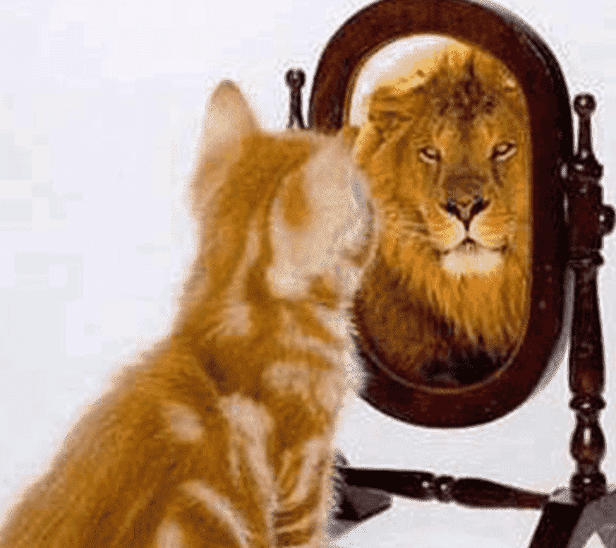 别人看到的自己是镜子里的自己吗