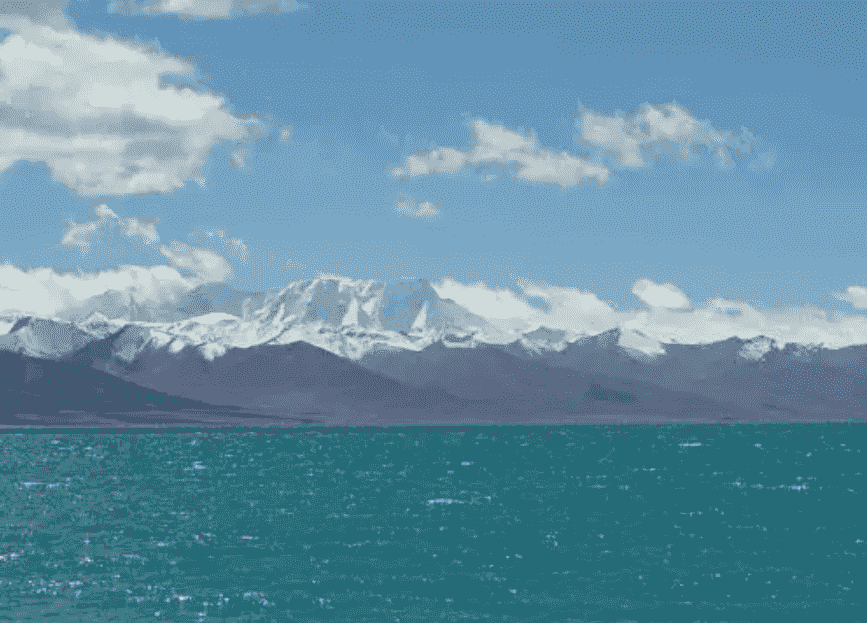 地球最强生物第一名，它走出地球也能活