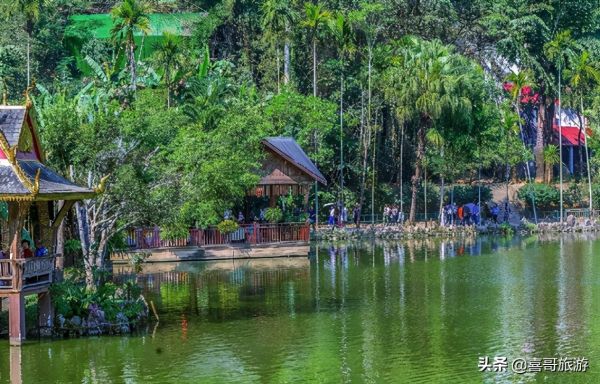 西双版纳十大旅游景点有哪些?自驾游玩如何安排行程路线? 西双版纳十大旅游景点有哪些?自驾游玩如何安排行程路线?