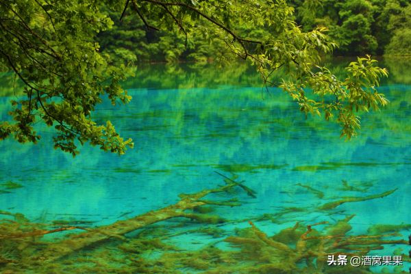 四川必去十大景点排名，四川值得一去的10个地方推荐