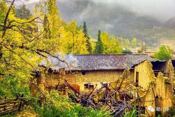 广东旅游必去十大景点自驾游（广东10大最美自驾线路）