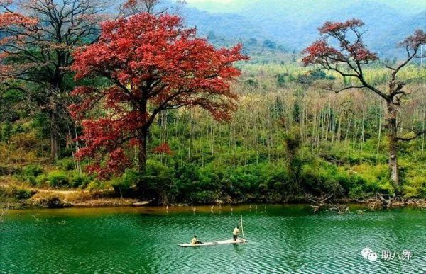 广东旅游必去十大景点自驾游（广东10大最美自驾线路）
