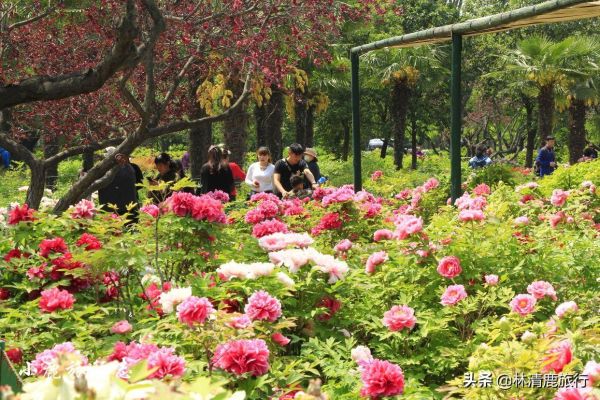 河南省自驾游景点十大排名榜，最适合出行的10个景点推荐