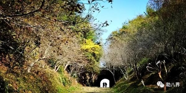 广东旅游必去十大景点自驾游（广东10大最美自驾线路）