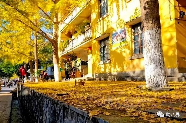 广东旅游必去十大景点自驾游（广东10大最美自驾线路）