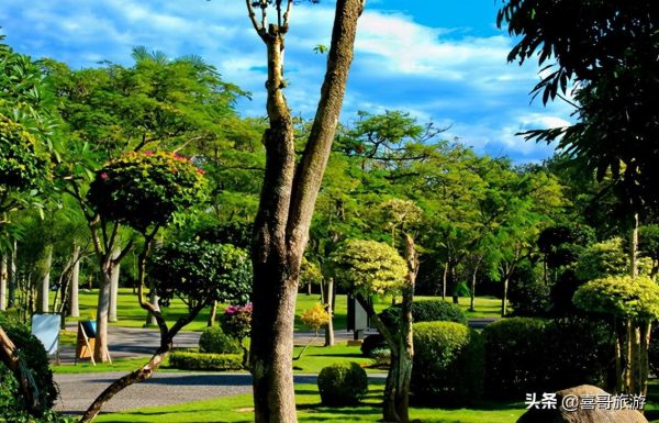 西双版纳十大旅游景点有哪些?自驾游玩如何安排行程路线? 西双版纳十大旅游景点有哪些?自驾游玩如何安排行程路线?