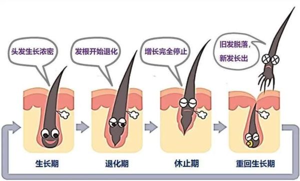 怎么让头发长得更快，让头发长得更快的办法分享