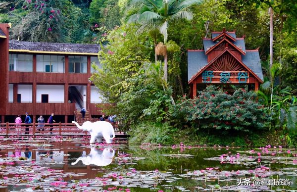 西双版纳十大旅游景点有哪些?自驾游玩如何安排行程路线? 西双版纳十大旅游景点有哪些?自驾游玩如何安排行程路线?