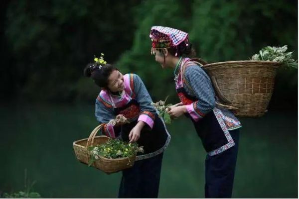 云南有52个少数民族还是25个，云南真的有52个少数民族？