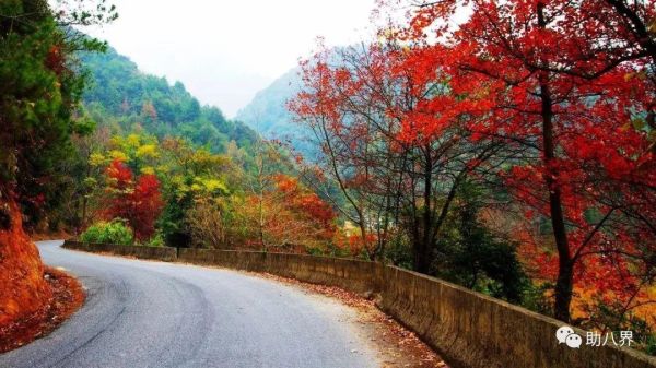 广东旅游必去十大景点自驾游（广东10大最美自驾线路）