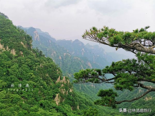 河南省自驾游景点十大排名榜，最适合出行的10个景点推荐