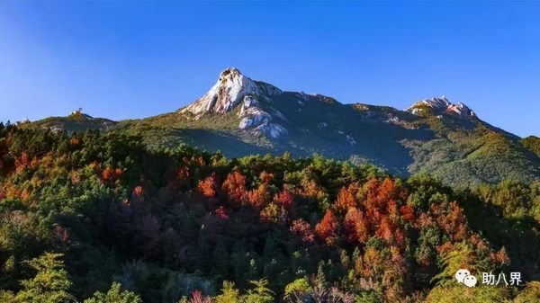 广东旅游必去十大景点自驾游（广东10大最美自驾线路）