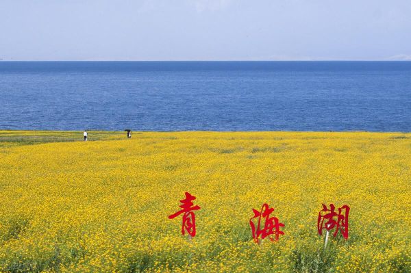 这个季节适合去哪旅游，2022年8月的旅行清单来了