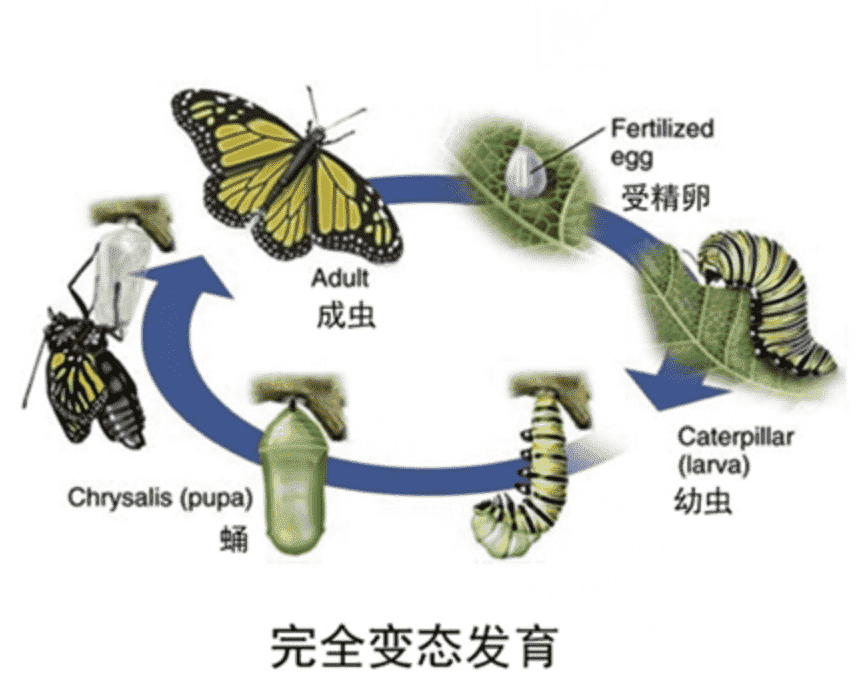 地球最强生物第一名，它走出地球也能活