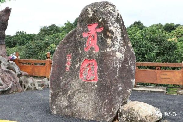 广东旅游必去十大景点自驾游（广东10大最美自驾线路）