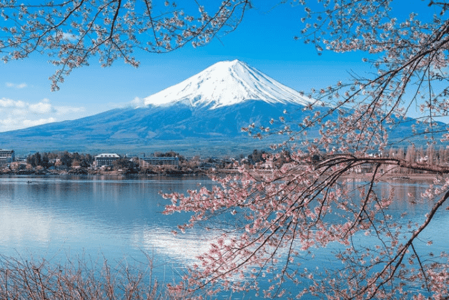 旅游必去的日本十大胜地（日本旅游景点排名前十）